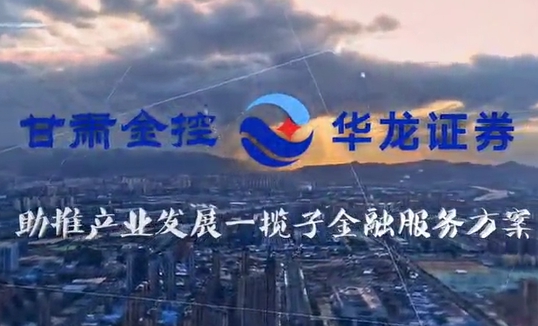 乐鱼手机平台助推产业发展一揽子金融服务方案汇报片